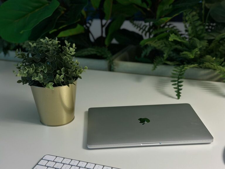 Simple Ways to Add Nature to Your Workspace for a Fresh Feel